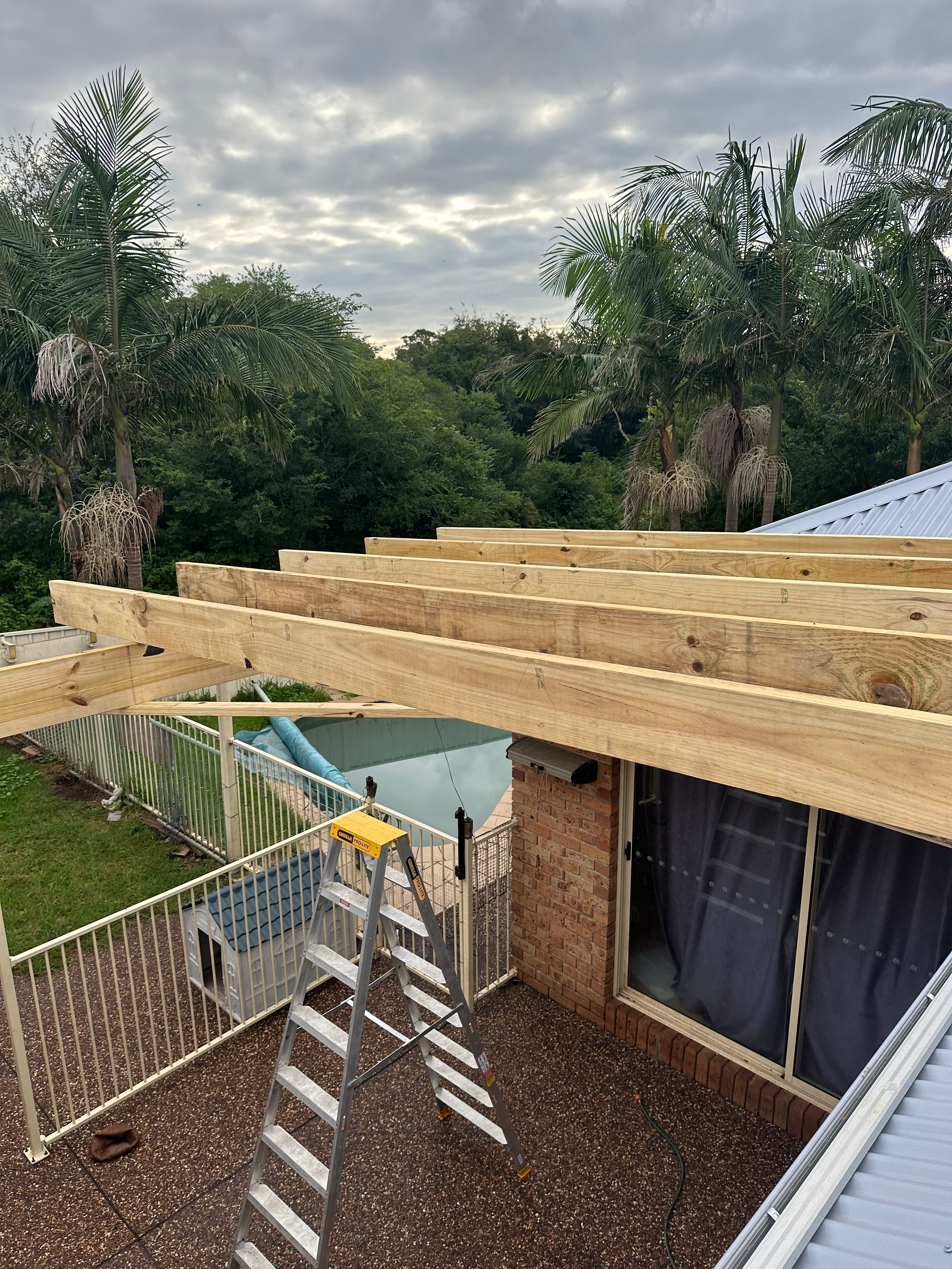 Figtree Pergola Roof — image 3