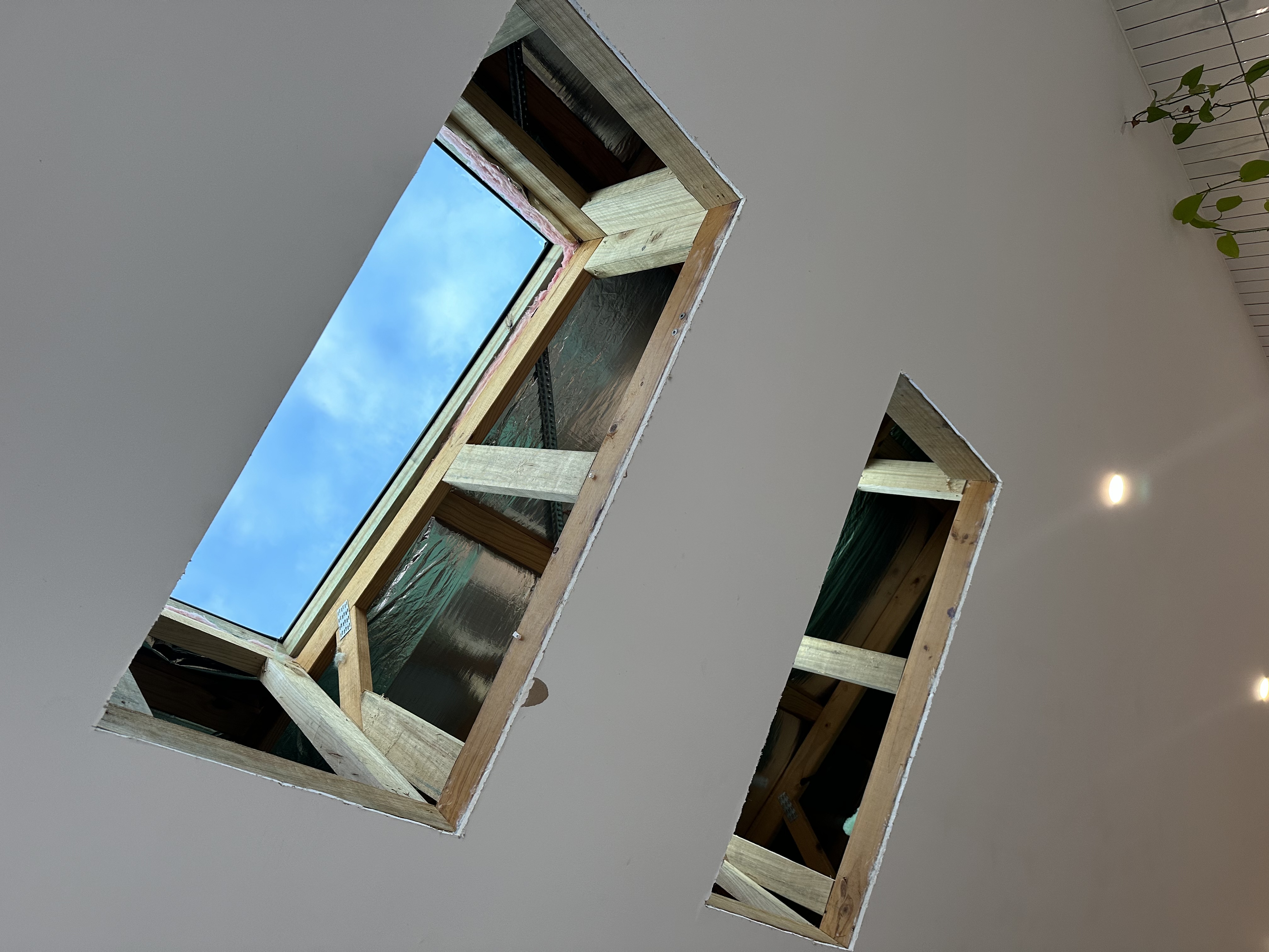 Figtree Pergola Roof — image 7