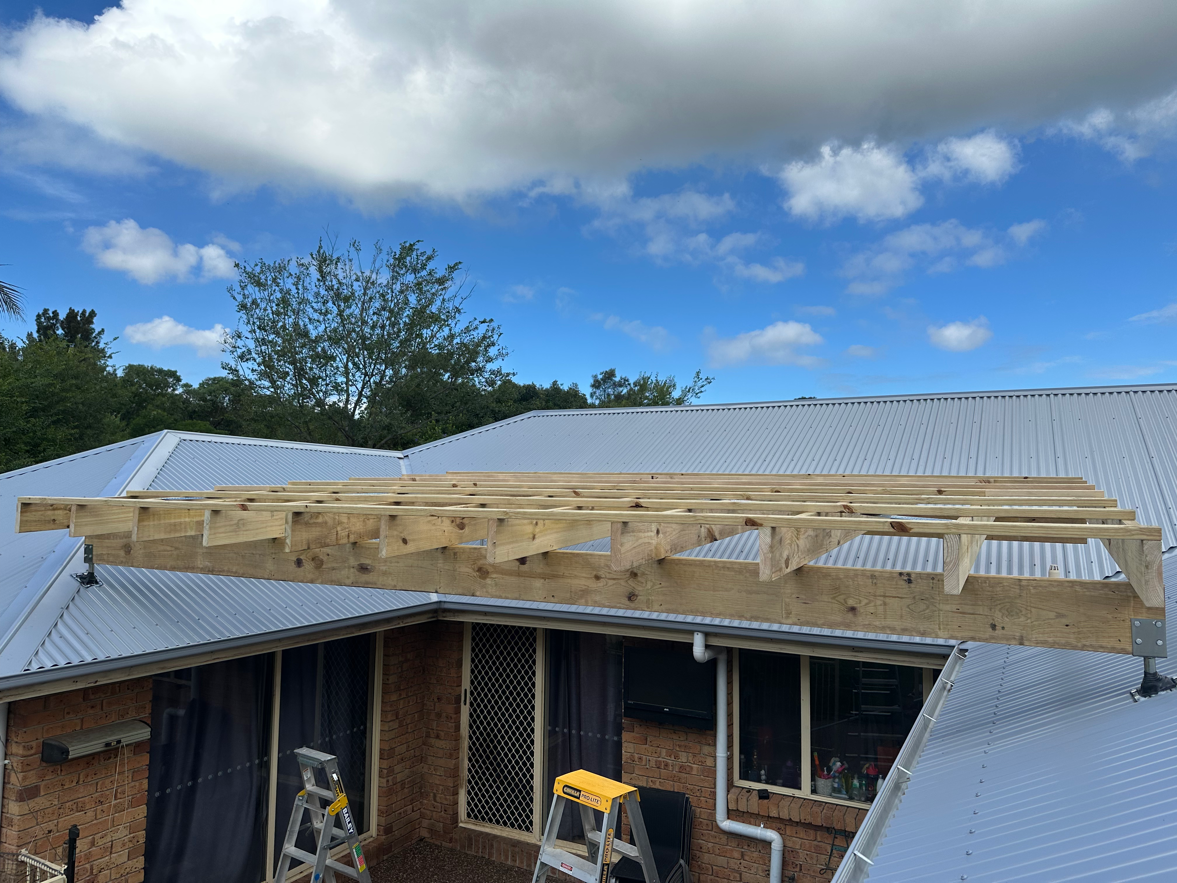 Figtree Pergola Roof — image 5